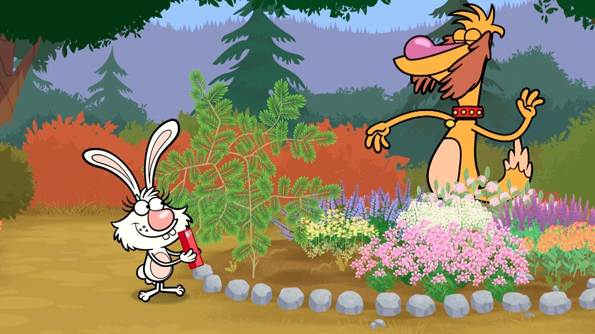Daisy needs to find another science project to exhibit at the Animal Science Fair.
